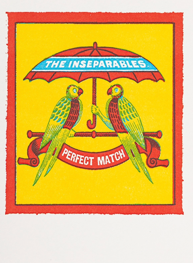 Best Match Parrot Card